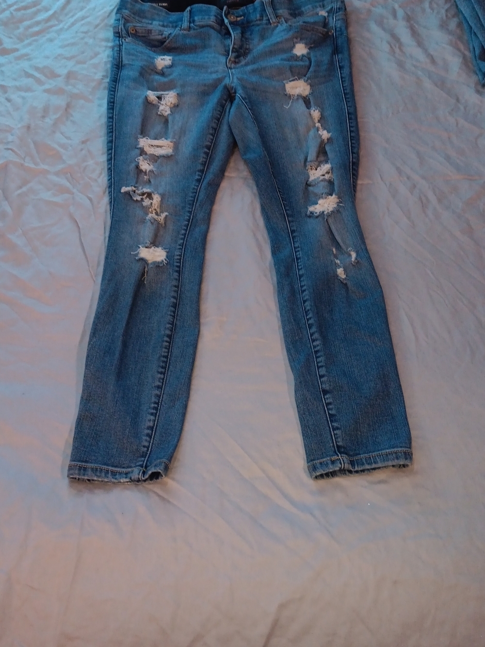 torrid Distressed Skinny Jeans in Blue